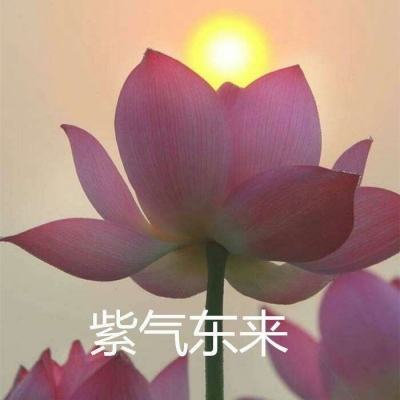 2年期美债收益率在